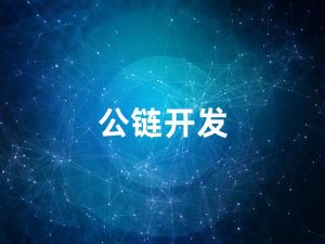 公链开发